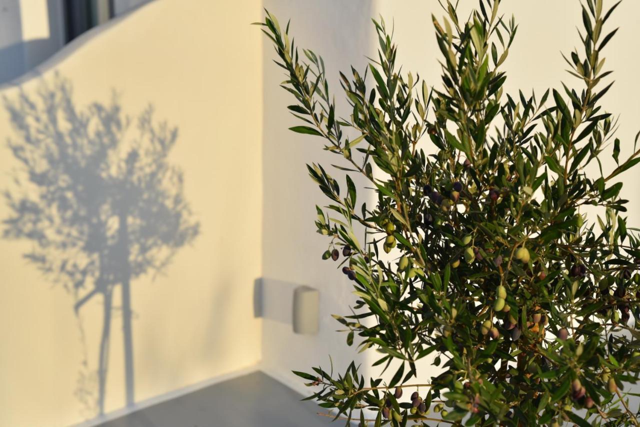 Crystal Mare Suites Naxos City Luaran gambar